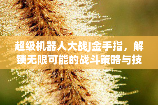 超级机器人大战J金手指，解锁无限可能的战斗策略与技巧