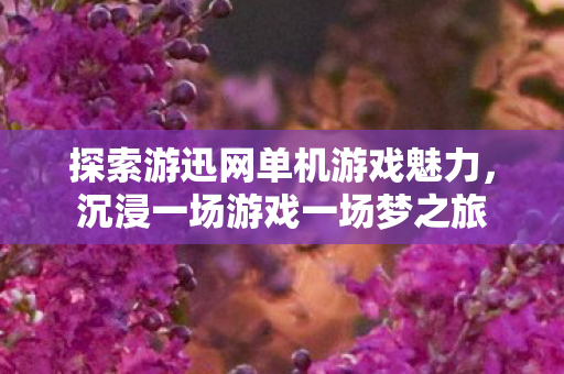探索游迅网单机游戏魅力，沉浸一场游戏一场梦之旅