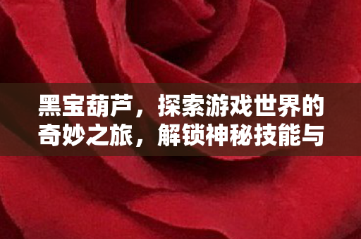 黑宝葫芦，探索游戏世界的奇妙之旅，解锁神秘技能与宝藏！