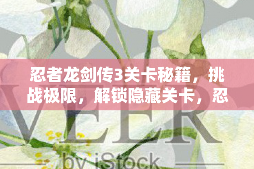 忍者龙剑传3关卡秘籍，挑战极限，解锁隐藏关卡，忍者龙剑传3，解锁隐藏关卡，挑战极限的秘籍