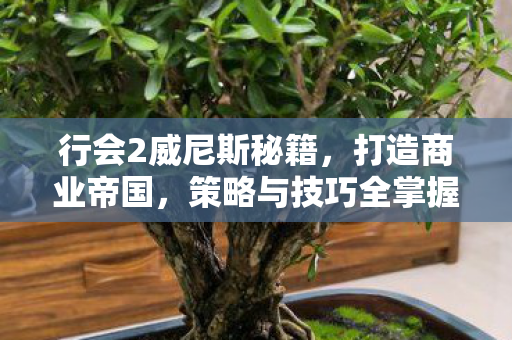 行会2威尼斯秘籍，打造商业帝国，策略与技巧全掌握