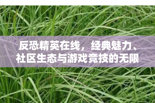 反恐精英在线，经典魅力、社区生态与游戏竞技的无限可能