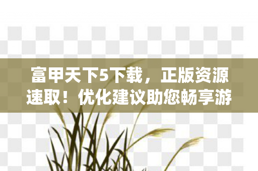 优化建议助您畅享游戏体验图片