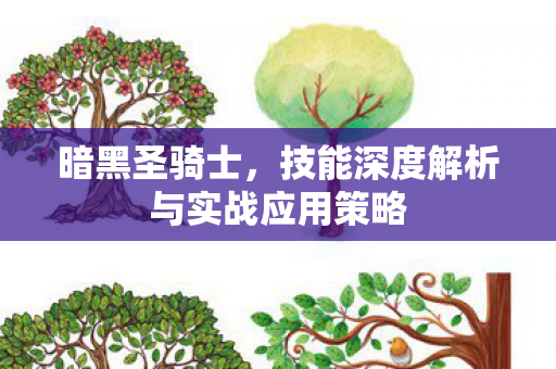 暗黑圣骑士，技能深度解析与实战应用策略