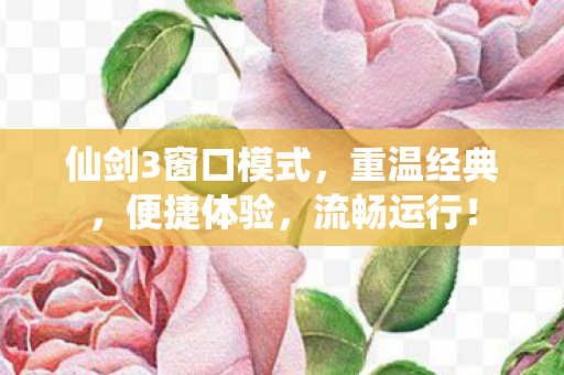 仙剑3窗口模式，重温经典，便捷体验，流畅运行！