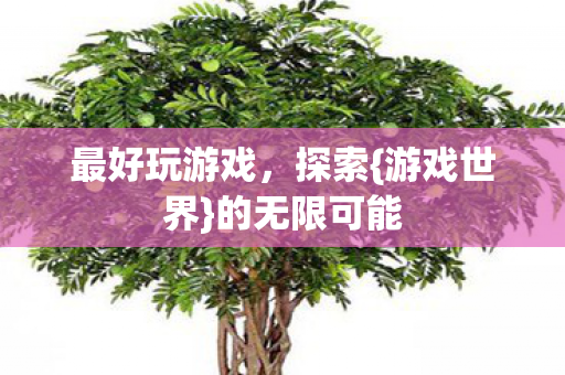 最好玩游戏，探索{游戏世界}的无限可能