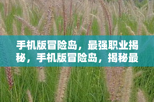 手机版冒险岛,最强职业揭秘,手机版冒险岛,揭秘最强职业 手机版冒险岛,最强职业揭秘,手机版冒险岛,揭秘最强职业