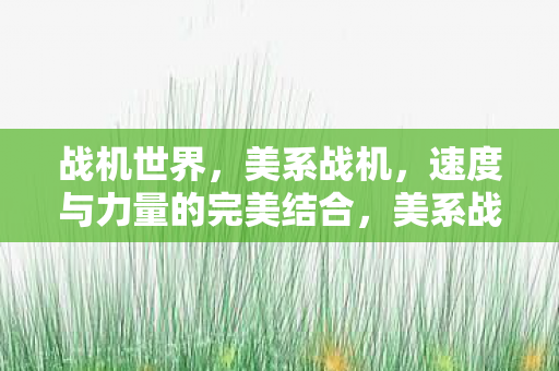 战机世界，美系战机，速度与力量的完美结合，美系战机，速度与力量的完美结合