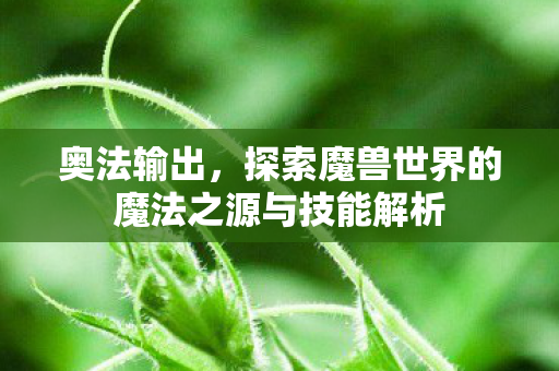 奥法输出,探索魔兽世界的魔法之源与技能解析 奥法输出,探索魔兽世界的魔法之源与技能解析
