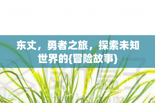 东丈，勇者之旅，探索未知世界的{冒险故事}