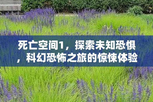 死亡空间1，探索未知恐惧，科幻恐怖之旅的惊悚体验