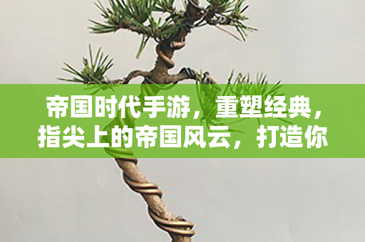 帝国时代手游,重塑经典,指尖上的帝国风云,打造你的专属帝国 帝国时代手游,重塑经典,指尖上的帝国风云,打造你的专属帝国