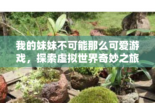 我的妹妹不可能那么可爱游戏图片