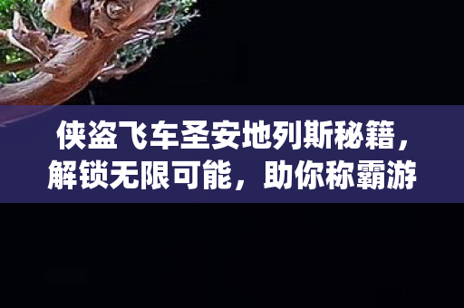 侠盗飞车圣安地列斯秘籍图片