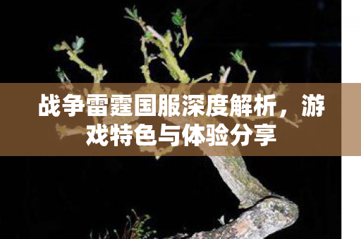 战争雷霆国服深度解析，游戏特色与体验分享