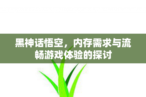 黑神话悟空,内存需求与流畅游戏体验的探讨 黑神话悟空,内存需求与流畅游戏体验的探讨