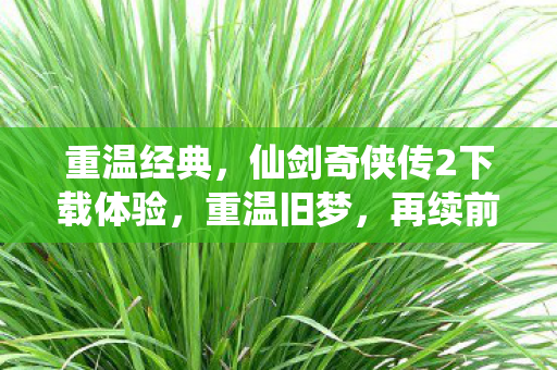 仙剑奇侠传2下载体验图片