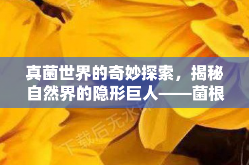 真菌世界的奇妙探索,揭秘自然界的隐形巨人——菌根共生关系 真菌世界的奇妙探索,揭秘自然界的隐形巨人——菌根共生关系