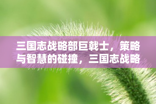 三国志战略部巨戟士，策略与智慧的碰撞，三国志战略部巨戟士，策略与智慧的激烈碰撞