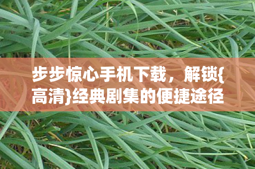 步步惊心手机下载，解锁{高清}经典剧集的便捷途径