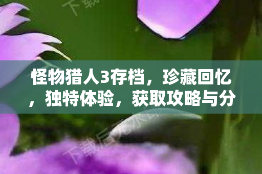 怪物猎人3存档,珍藏回忆,独特体验,获取攻略与分享! 怪物猎人3存档,珍藏回忆,独特体验,获取攻略与分享!