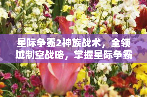 星际争霸2神族战术，全领域制空战略，掌握星际争霸2神族制胜关键