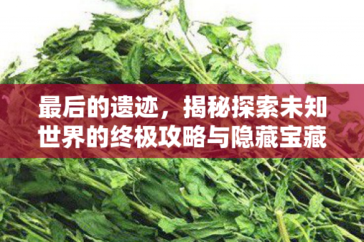 最后的遗迹，揭秘探索未知世界的终极攻略与隐藏宝藏