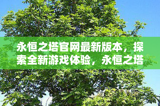 永恒之塔官网最新版本，探索全新游戏体验，永恒之塔官网发布新版本，开启全新游戏体验