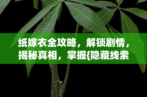 纸嫁衣全攻略,解锁剧情,揭秘真相,掌握{隐藏线索}! 纸嫁衣全攻略,解锁剧情,揭秘真相,掌握{隐藏线索}!