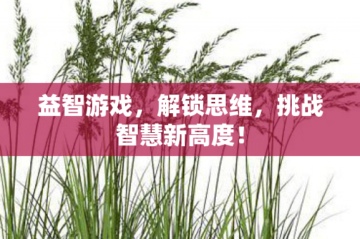 益智游戏,解锁思维,挑战智慧新高度! 益智游戏,解锁思维,挑战智慧新高度!