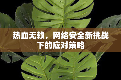 热血无赖,网络安全新挑战下的应对策略 热血无赖,网络安全新挑战下的应对策略