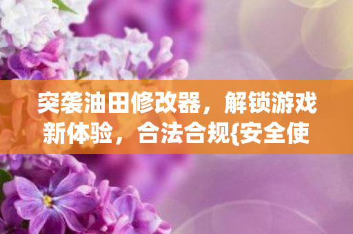 突袭油田修改器，解锁游戏新体验，合法合规{安全使用}是关键