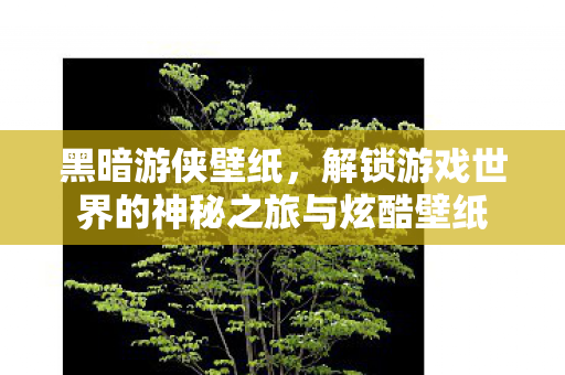 黑暗游侠壁纸，解锁游戏世界的神秘之旅与炫酷壁纸