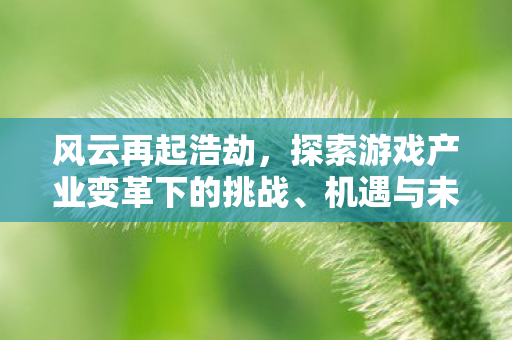 风云再起浩劫，探索游戏产业变革下的挑战、机遇与未来趋势