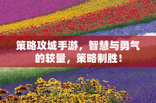 策略攻城手游，智慧与勇气的较量，策略制胜！