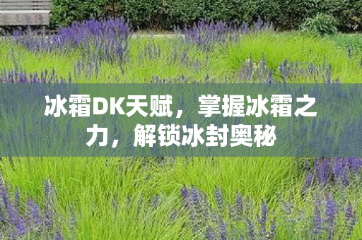 冰霜DK天赋，掌握冰霜之力，解锁冰封奥秘