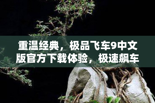 极品飞车9中文版官方下载体验图片