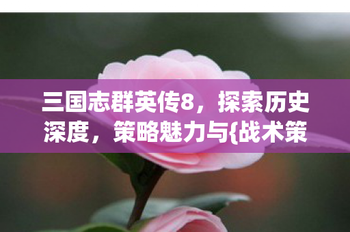三国志群英传8，探索历史深度，策略魅力与{战术策略}
