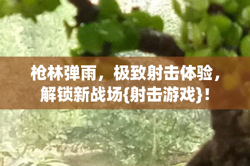 极致射击体验图片