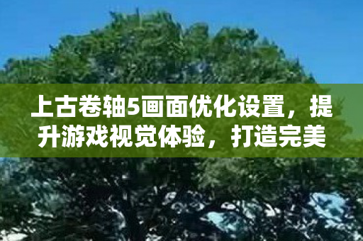 上古卷轴5画面优化设置，提升游戏视觉体验，打造完美画面！