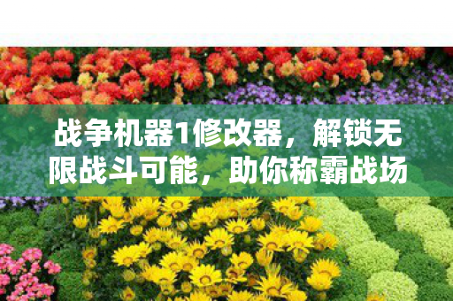 战争机器1修改器,解锁无限战斗可能,助你称霸战场! 战争机器1修改器,解锁无限战斗可能,助你称霸战场!