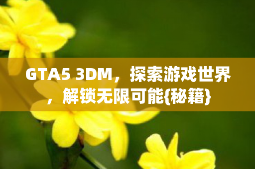 GTA5 3DM，探索游戏世界，解锁无限可能{秘籍}