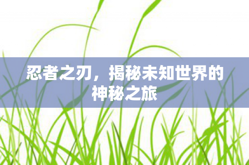 忍者之刃,揭秘未知世界的神秘之旅 忍者之刃,揭秘未知世界的神秘之旅