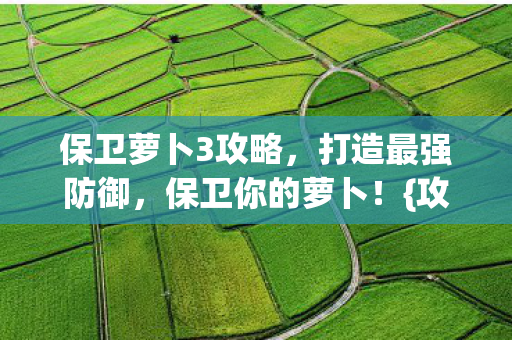 保卫萝卜3攻略,打造最强防御,保卫你的萝卜!{攻略} 保卫萝卜3攻略,打造最强防御,保卫你的萝卜!{攻略}