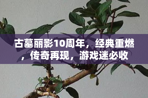 古墓丽影10周年图片