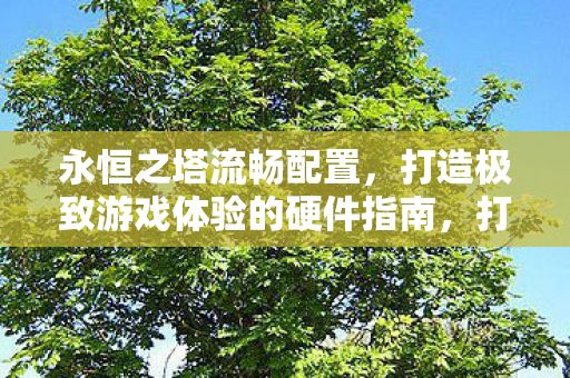 永恒之塔流畅配置，打造极致游戏体验的硬件指南，打造极致游戏体验，永恒之塔流畅配置硬件指南