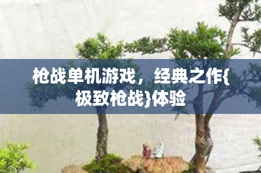 枪战单机游戏,经典之作{极致枪战}体验 枪战单机游戏,经典之作{极致枪战}体验