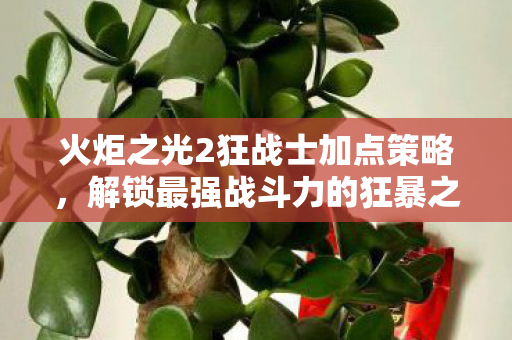 火炬之光2狂战士加点策略图片