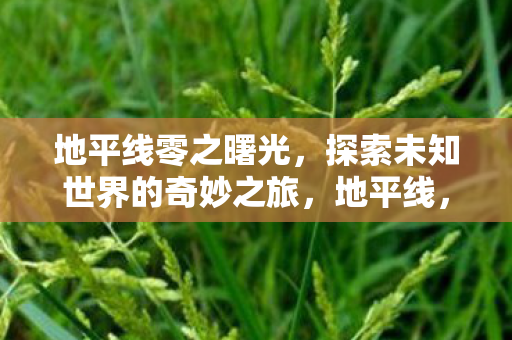 地平线零之曙光,探索未知世界的奇妙之旅,地平线,零之曙光探索未知世界的奇妙冒险之旅 地平线零之曙光,探索未知世界的奇妙之旅,地平线,零之曙光探索未知世界的奇妙冒险之旅
