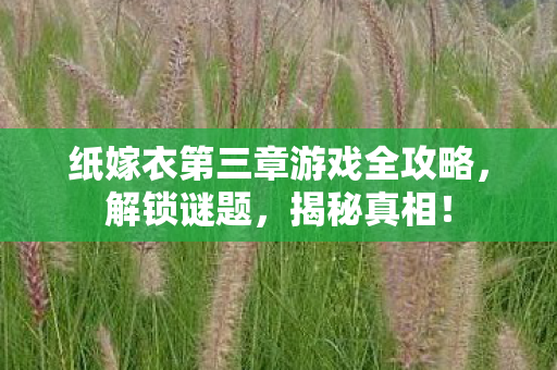 纸嫁衣第三章游戏全攻略，解锁谜题，揭秘真相！